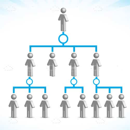 Company Family Tree